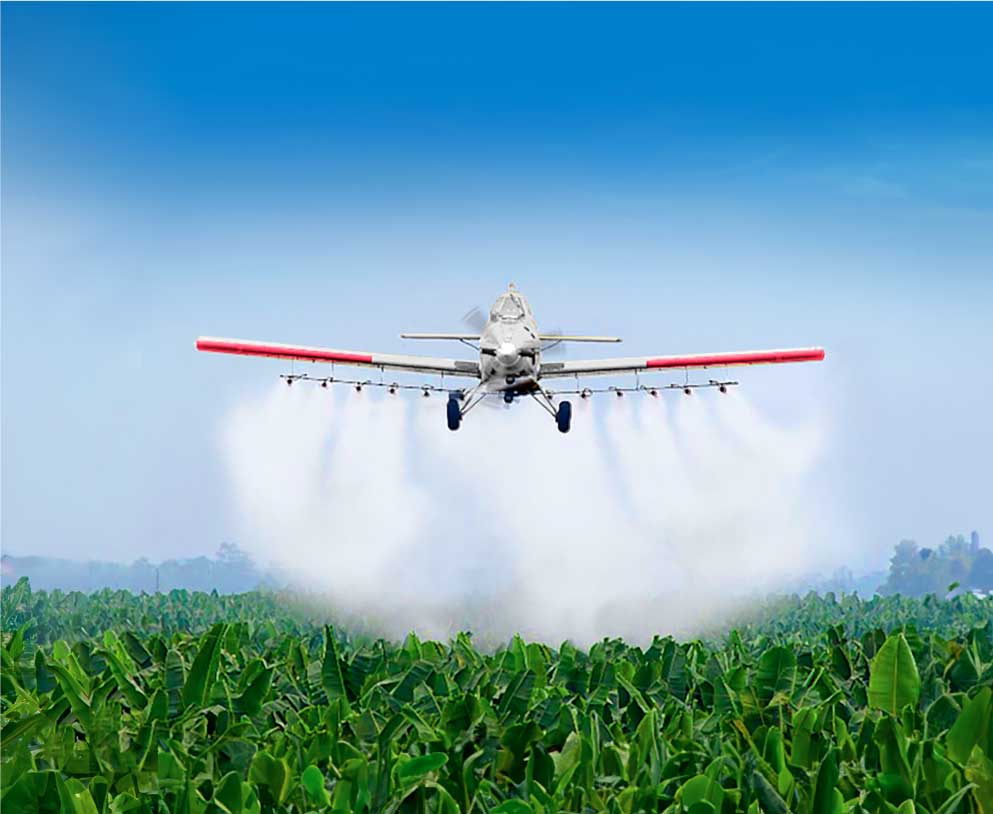 web fumicar avioneta4