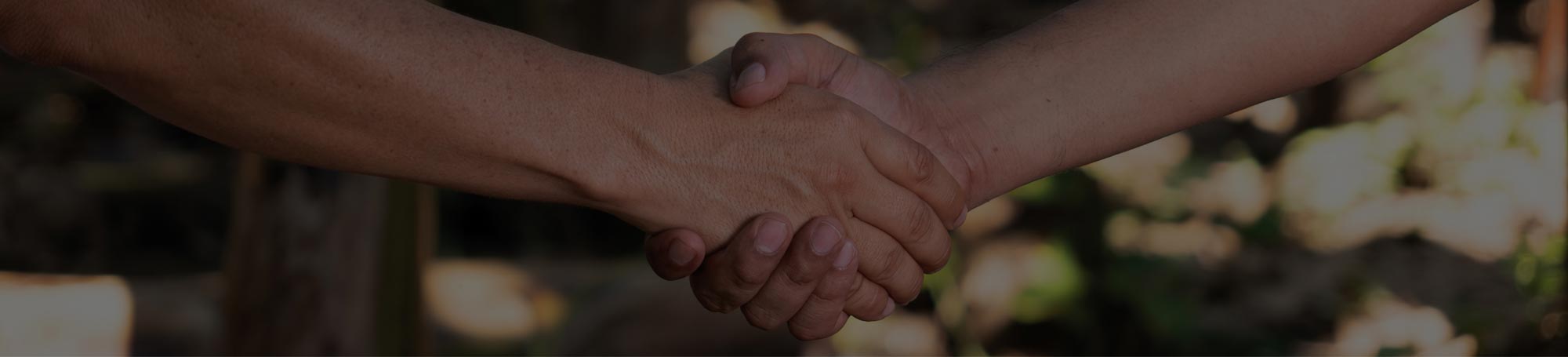 headers web fumicar 01