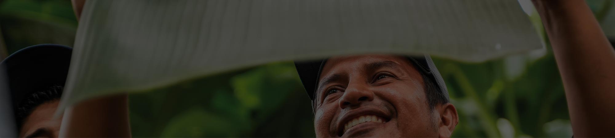 headers web fumicar 02